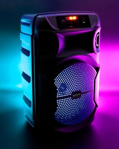 Głośnik SQUEAK PulseTower czarny (SQ1006) 14