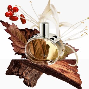 Hermès Hermes Barenia edp 100ml 7