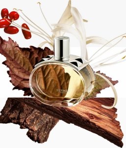 Hermès Hermes Barenia edp 100ml 10