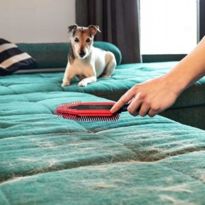 Vileda Pet Pro Szczotka elektrostatyczna do zamiatania sierści i włosów 6