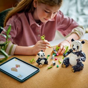 LEGO Creator Dzikie zwierzęta: rodzina pand (31165) 2