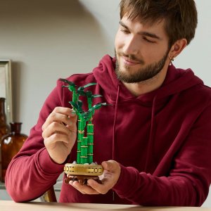 LEGO Botanicals Dracena sandera (10344) 2