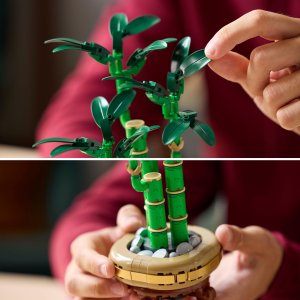LEGO Botanicals Dracena sandera (10344) 5