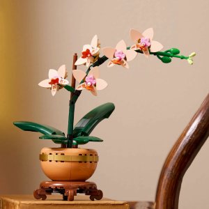LEGO Botanicals Mała orchidea (10343) 2
