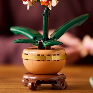 LEGO Botanicals Mała orchidea (10343) 6