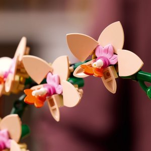 LEGO Botanicals Mała orchidea (10343) 7