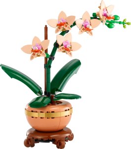 LEGO Botanicals Mała orchidea (10343) 8