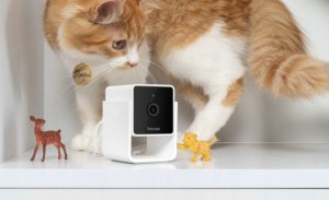Kamera IP Book on Demand Ltd. Petcube Cam | Pet monitoring camera | WiFi, 1080p 6