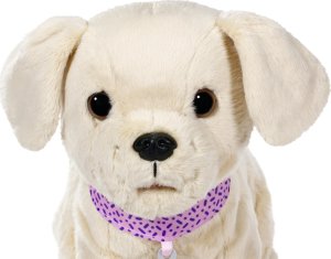 Zapf BABY BORN interactive dog with a box 10