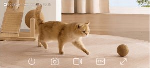 Kamera IP Xiaomi C500 Dual EU Biała 12