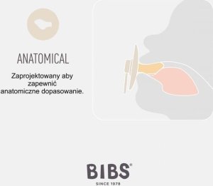 Bibs BIBS COLOUR ANATOMICAL CORAL S Smoczek ortodontyczny kauczuk Hevea 3