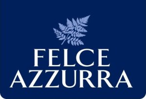 Płyn do płukania Felce Azzurra Moon Flowers 0.9l 2