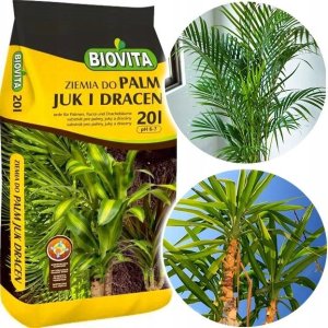 UN ZIEMIA - DO PALM, JUK I DRACEN - 5 L. 2