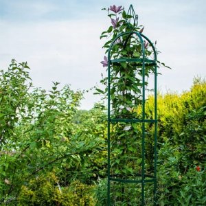 Planta Metalowa pergola ogrodowa 215x41cm Okrągła podpora dla roślin pnących 4