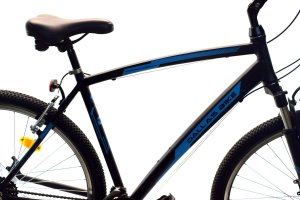 Dallas Bike Rower Dallas MTB 29" 21spd czarny z niebieskim 2
