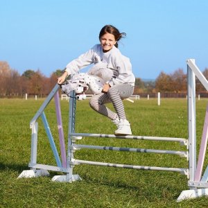 Tootiny Koń na kiju Hobby Horse HOPPIHORSE A3 Leopard - biały, maść tarantowata 10