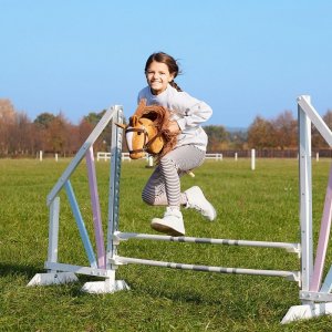 Tootiny Koń na kiju Hobby Horse HOPPIHORSE A3 Chestnut - brąz, maść kasztanowata 10