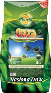 Planta Mieszanka traw gazonowych na tereny suche i piaszczyste 5kg Trawa oaza 2