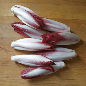 Toraf Nasiona warzyw | Cykoria Sałatowa Palla Rossa 3 | Opakowanie 5g 5