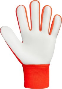 Reusch Rękawice bramkarskie Reusch Attrakt Starter Solid Junior pomarańczowo-niebieskie 5572514 2290 5,5 3