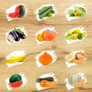 Toraf TORAF ZESTAW NASION SYMFONIA SMAKÓW - 12 OPAKOWAŃ 6