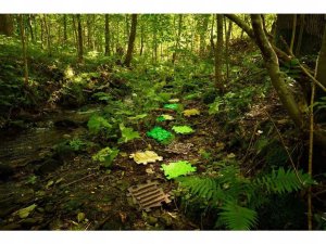 Askato Mata Sensoryczna Ortopedyczna Zestaw15w1 Nature 15 Puzzli Sensoryka Muffik / Mfk-097 6
