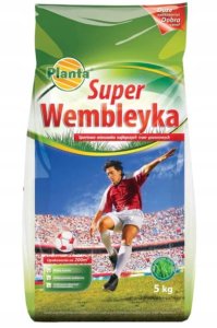 Planta Trawa boiskowa Super Wembleyka 5 kg Na tereny intensywnie użytkowane 2