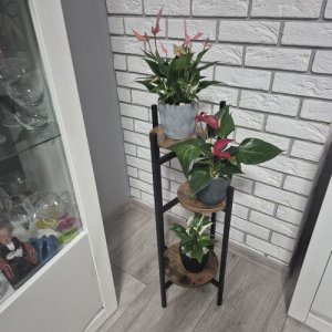 Ruhhy Kwietnik stojcy 80cm Ruhhy 25627 9