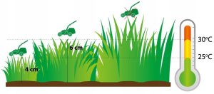 Twój Ogród Nasiona trawy Trawa Regenerujący Mix E+ 0.5 kg 9