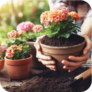 Twój Ogród Ziemia podłoże regenerujące 5l (kwasy humusowe) 3