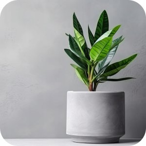 Twój Ogród Ziemia podłoże do roślin zielonych 5l (kwasy humusowe) Twój Ogród 5