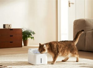 Xiaomi Xiaomi XMCWYSJ02 Smart Pet Fountain 4L 6