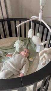 Clementoni Baby's only musical carousel animals 0+ Laurel green/ Warm linen BO-815.023.062.50 2