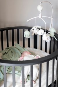 Clementoni Baby's only musical carousel animals 0+ Laurel green/ Warm linen BO-815.023.062.50 3