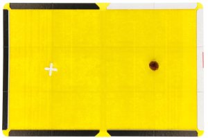 Vaco Lep na szczury Pułapka na szczury i myszy 31,5x21x1cm GOODSHOT 4