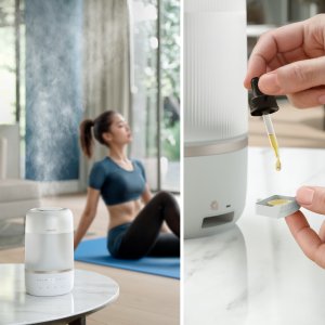 Nawilżacz powietrza Philips HU1510/04 Biały 3