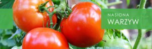 Seklos LT PNOS Nasiona warzyw | Papryka Jolanta | Opakowanie 0,5g 4