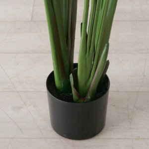 Boltze Sztuczna roślina bananowiec, wys. 185 cm 3