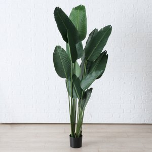 Boltze Sztuczna roślina bananowiec, wys. 185 cm 4