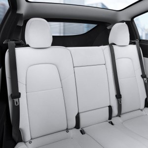 Spigen Spigen Tesla Backseat Seatbelt Holder, black -  Tesla Model Y 9