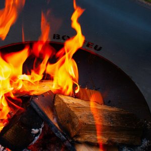 Zebco BONFEU BONPLANCHA Ø 60 8