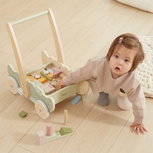 Ecotoys Viga Drewniany Wózek Na Klocki Pchacz 2