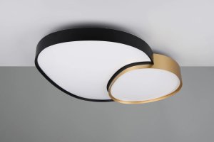 Lampa sufitowa EGLO Ceiling LED lamp TRIO RISE, 45 W, 5300 lm, 2700-6500 K, O70x8.5x66cm, with remote control 2