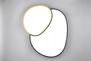 Lampa sufitowa EGLO Ceiling LED lamp TRIO RISE, 45 W, 5300 lm, 2700-6500 K, O70x8.5x66cm, with remote control 3