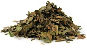 Herbapol Runo orzech włoski liść 50g 3