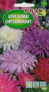 Seklos LT PLATINET NASIONA ASTER CHRYZANTEMOWY CALLISTEPHUS CHINENSIS SEEDS 1 G 4