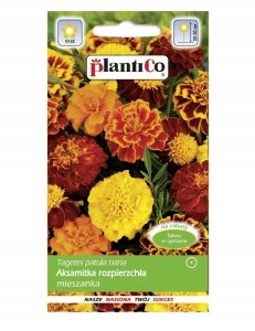 Seklos LT PLATINET NASIONA AKSAMITKA ROZPIERZCHŁA MERIGOLD SEEDS 1 G 3