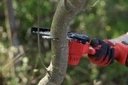 Piła łańcuchowa Techrebal Piła Łańcuchowa Akumulatorowa Pilarka 6" Akumulator 21V Techrebal do Gałęzi Drewna 5
