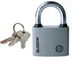Blossom PADLOCK BC2963 2