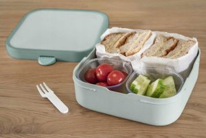 Rosti Mepal LUNCHBOX CAMPUS BENTO LARGE DINO 107435065381 3